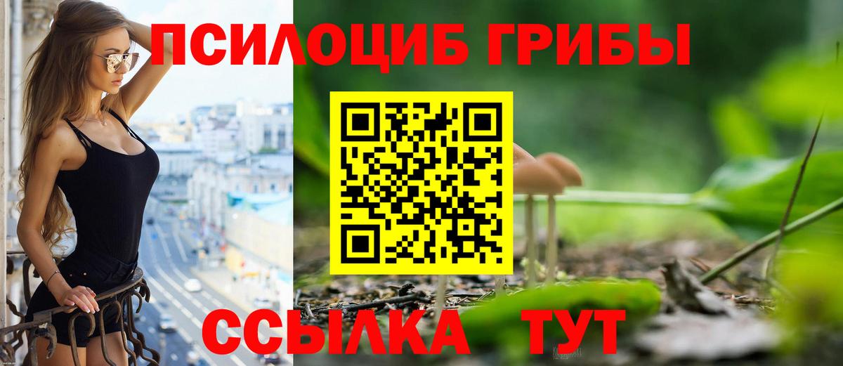 Галлюциногенные грибы мухоморы Жигулёвск